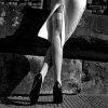 DSC00458.jpg