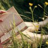 book-flower.jpg