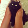 lolasykes-8bb7bf8833ff17763ac1.jpeg